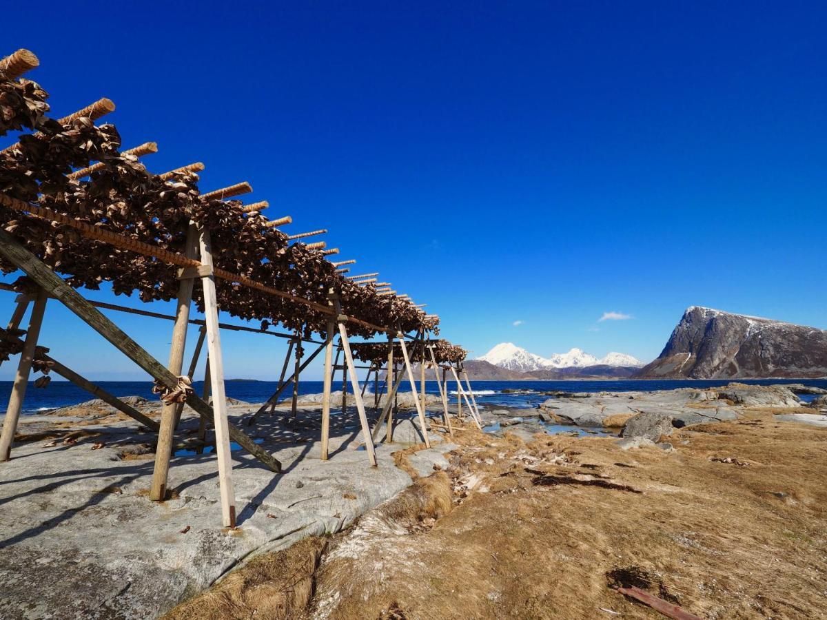 Lofoten Troll Point Bostad Buitenkant foto