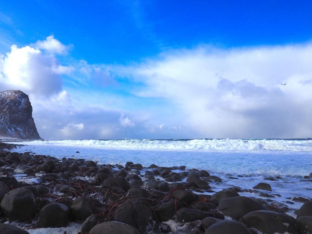 Lofoten Troll Point Bostad Buitenkant foto